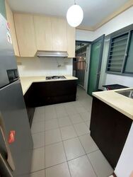 Blk 1D The Pinnacle@Duxton (Bukit Merah), HDB 4 Rooms #581287031